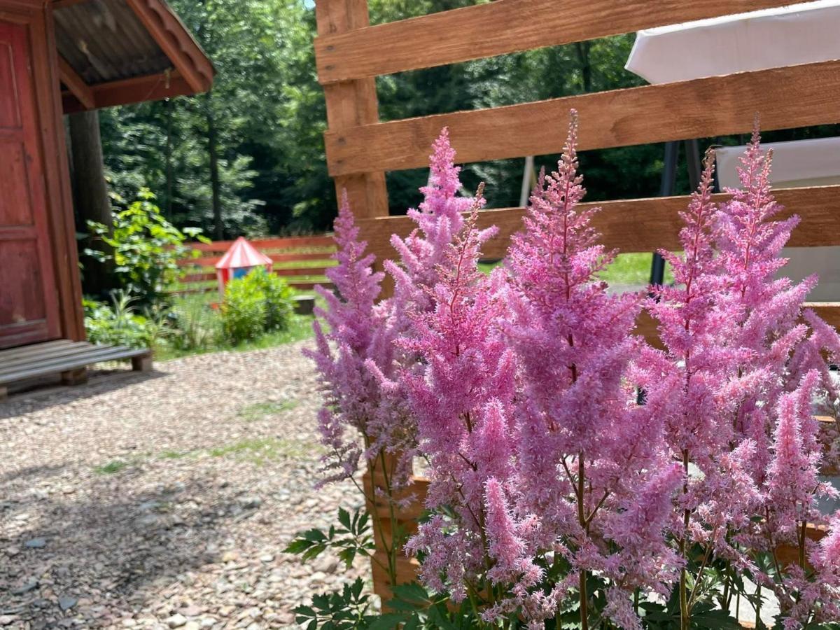 Domek Caloroczny Zagroda Mlynski Sułkowice Exteriér fotografie