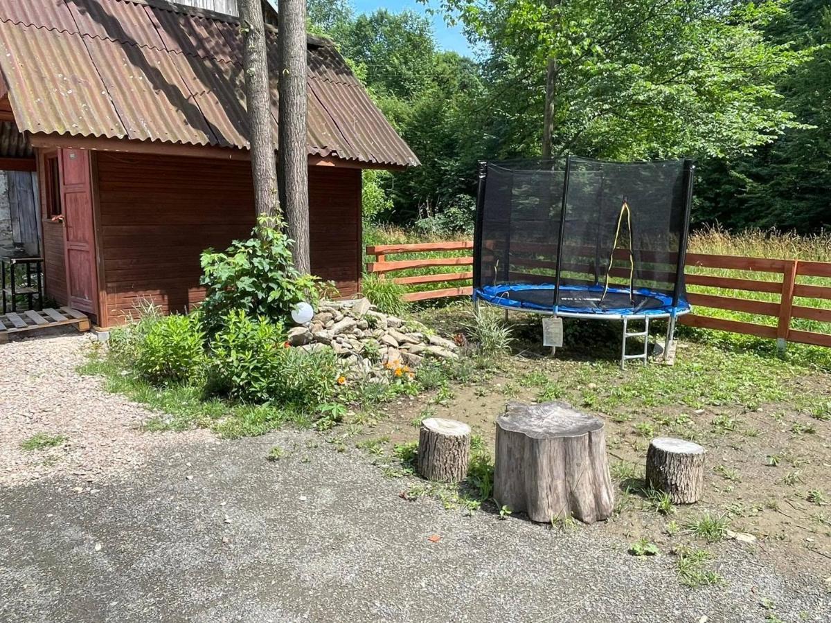 Domek Caloroczny Zagroda Mlynski Sułkowice Exteriér fotografie