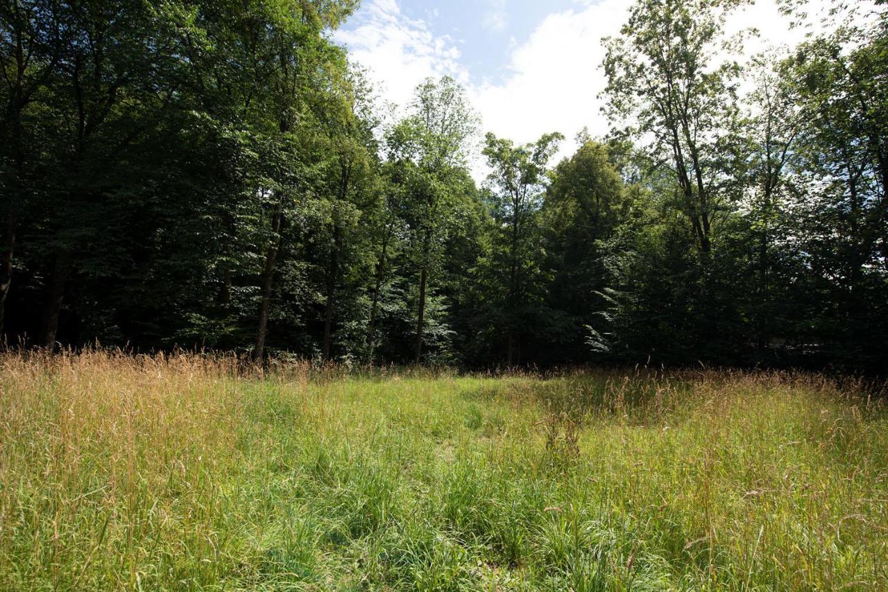 Domek Caloroczny Zagroda Mlynski Sułkowice Exteriér fotografie